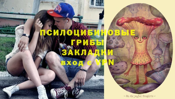 эйфоретик Верея