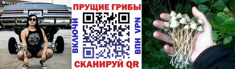 blacksprut рабочий сайт  наркота  Лихославль  Псилоцибиновые грибы ЛСД 